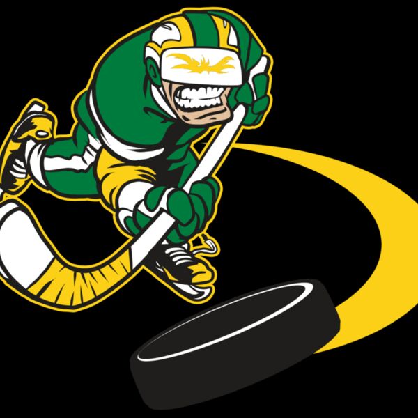 AR32 HOCKEY 02 RQC Thumbnail