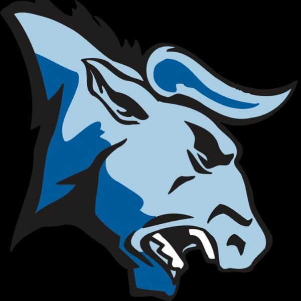 AR BULL 20 RC Thumbnail