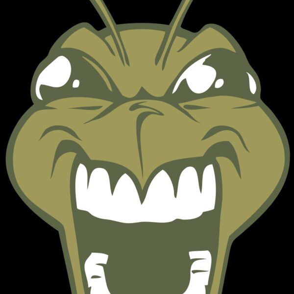 BAW BEE 13 RC Thumbnail