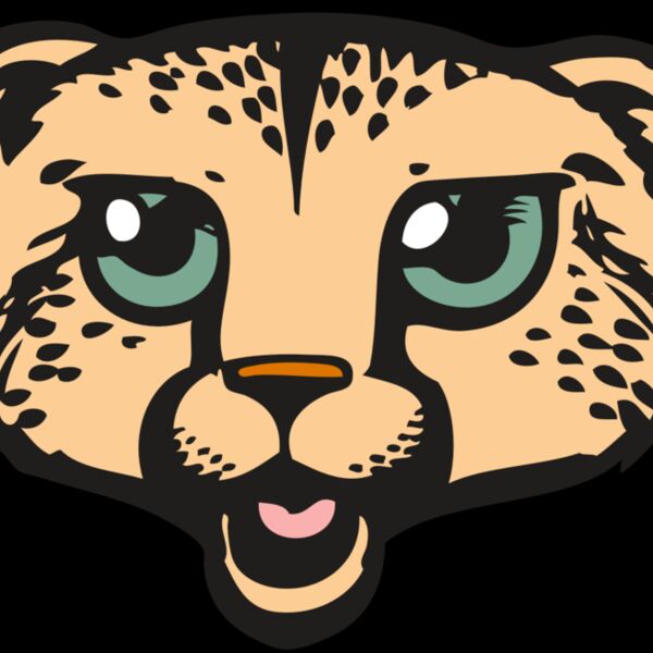 BAW CHEETAH 18 RC Thumbnail