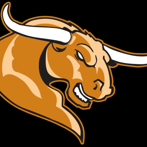 AR BULL 14 RC Thumbnail