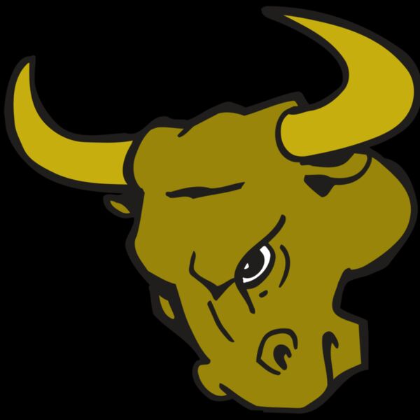 AR BULL 26 RC Thumbnail