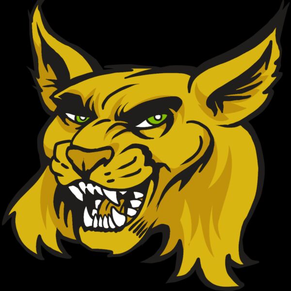 AR30 WILDCAT 03 RQC Thumbnail