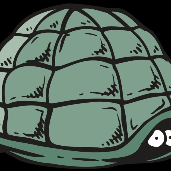 AR5 Turtle 10 RQC Thumbnail