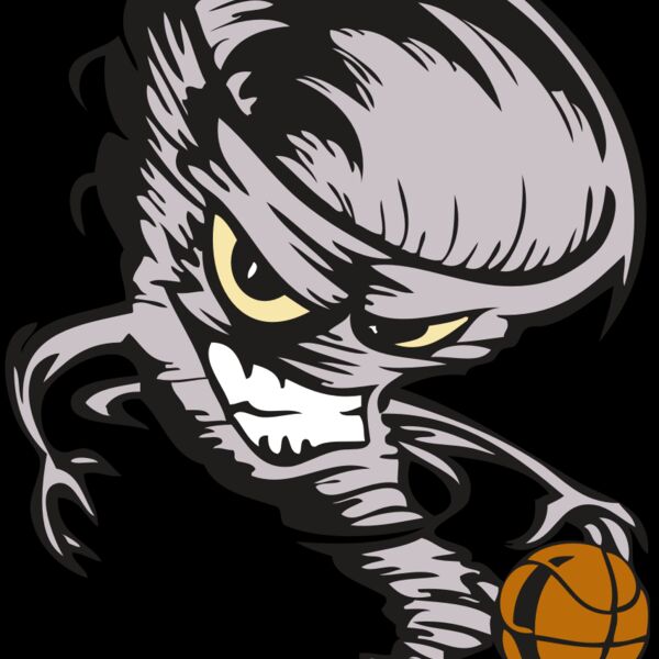 BAW STORM 06 RC Thumbnail